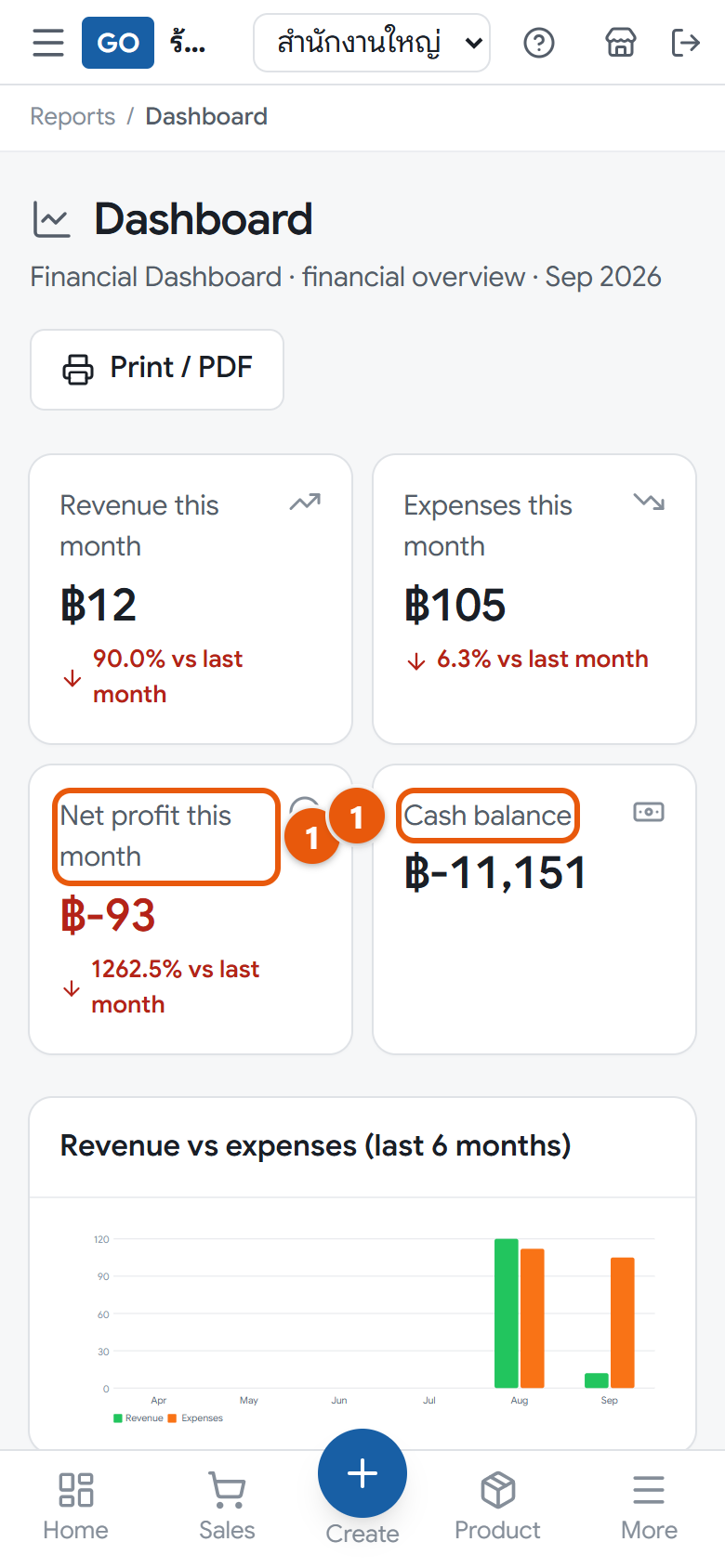 The finance dashboard with this month's profit and cash